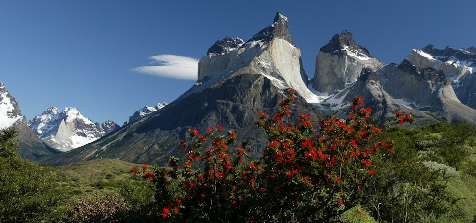 Ven a realizar trekking W en las Torres del Paine