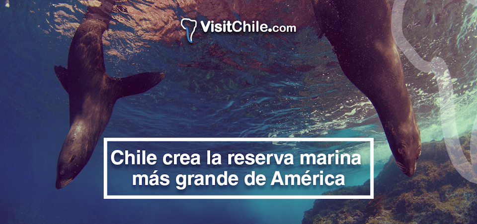 Chile crea la reserva marina más grande de América.