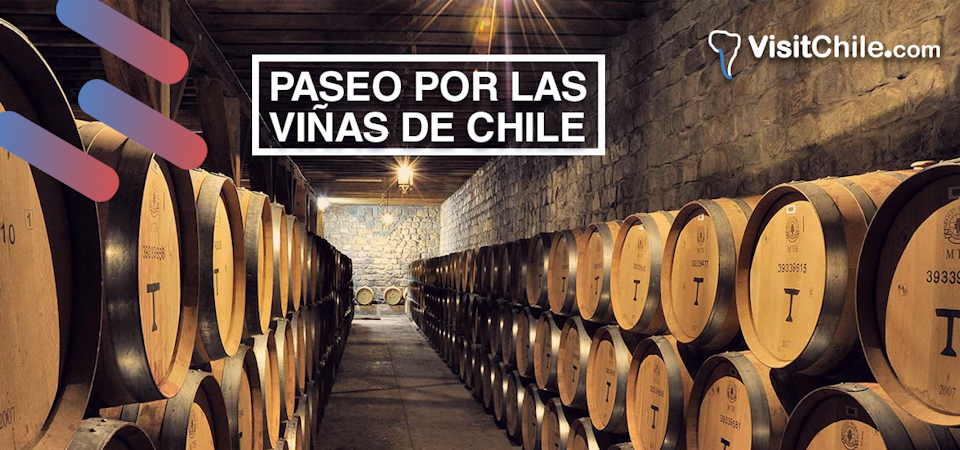 De paseo por las viñas de Chile