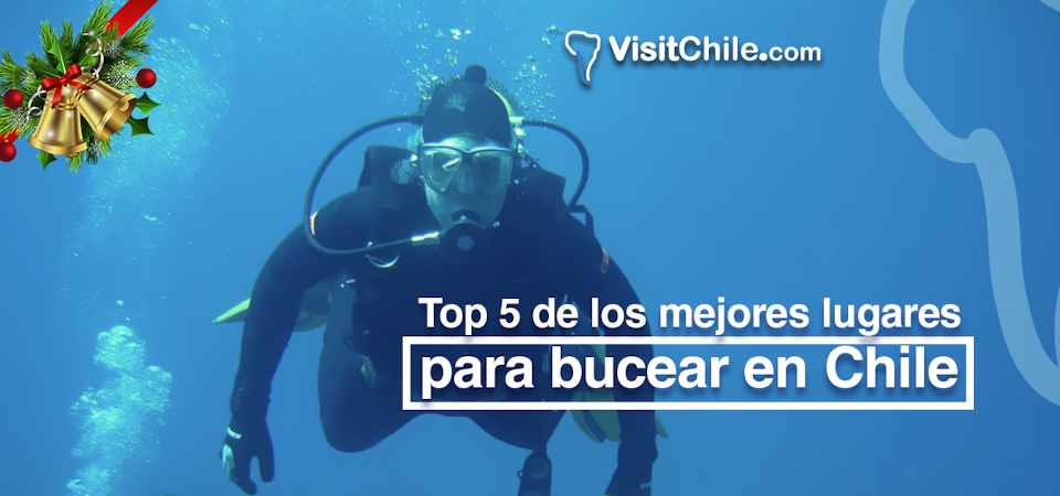 Top 5 de los mejores lugares para bucear en Chile.