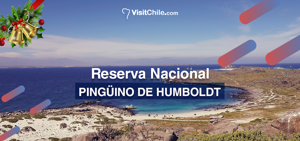 Reserva nacional Pingüino de Humboldt