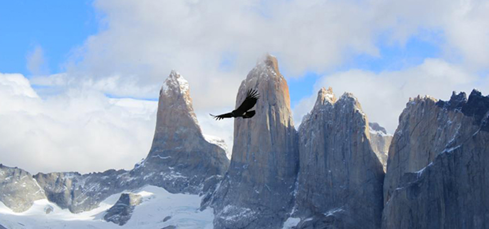 7 imperdibles de la Patagonia Chilena